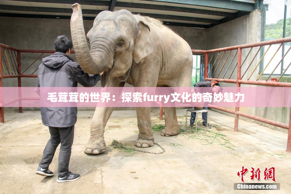 毛茸茸的世界：探索furry文化的奇妙魅力