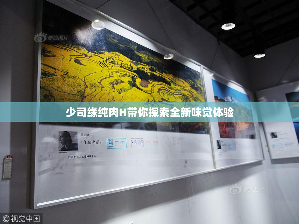少司缘纯肉H带你探索全新味觉体验