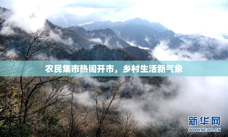 农民集市热闹开市，乡村生活新气象