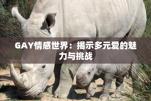 GAY情感世界：揭示多元爱的魅力与挑战