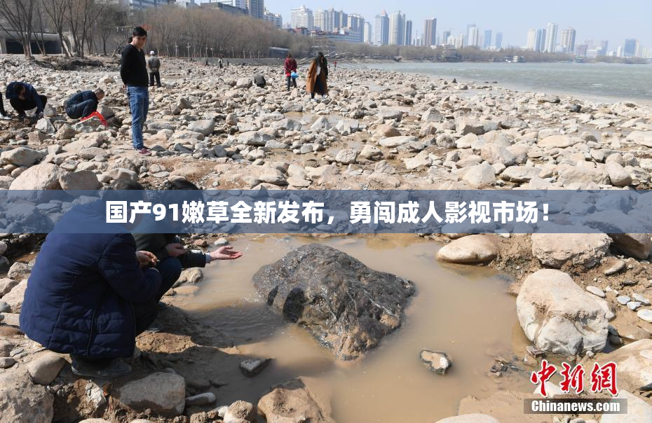 国产91嫩草全新发布，勇闯成人影视市场！