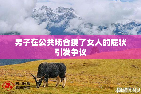 男子在公共场合摸了女人的屁状引发争议