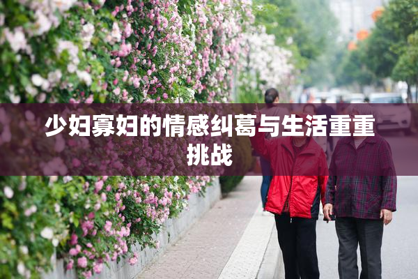 少妇寡妇的情感纠葛与生活重重挑战