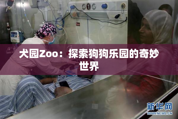犬园Zoo：探索狗狗乐园的奇妙世界