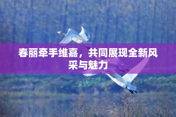 春丽牵手维嘉，共同展现全新风采与魅力