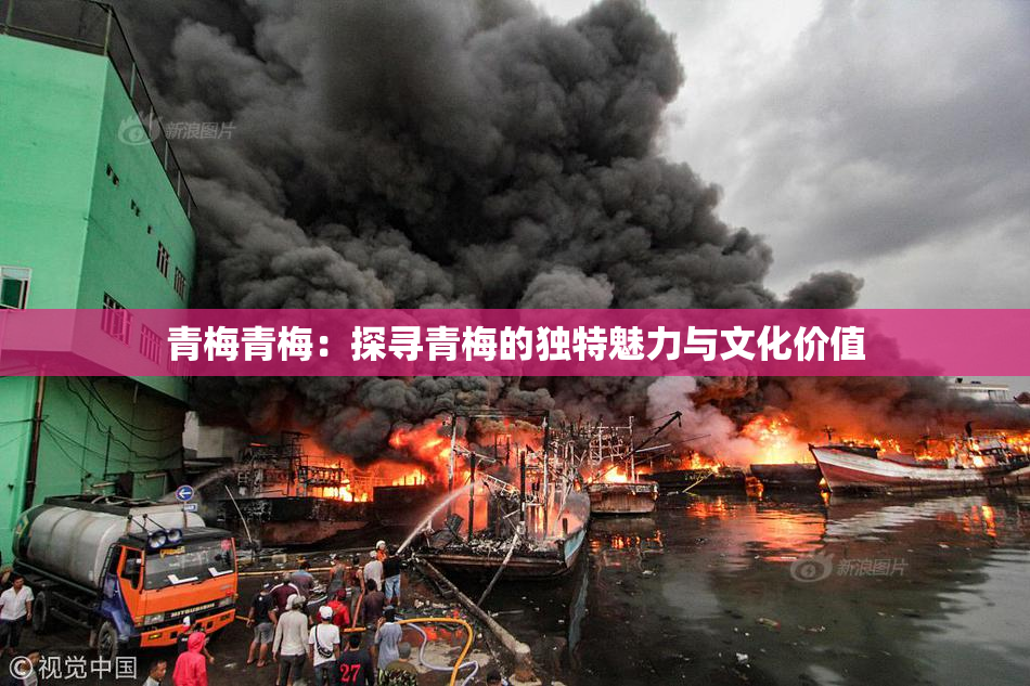青梅青梅：探寻青梅的独特魅力与文化价值