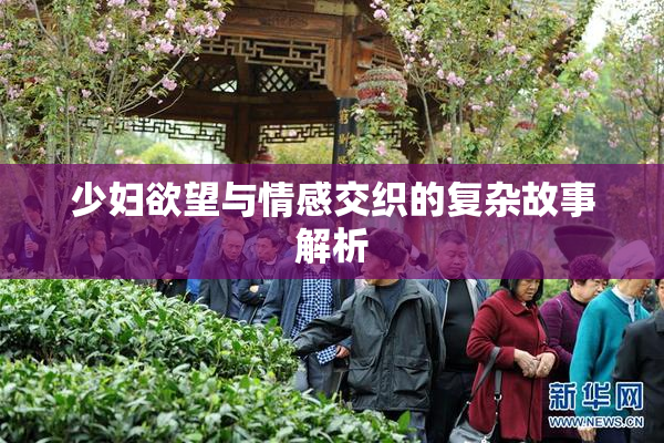 少妇欲望与情感交织的复杂故事解析