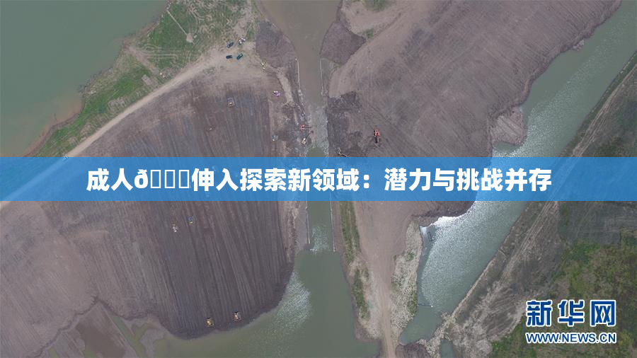 成人🍆伸入探索新领域：潜力与挑战并存