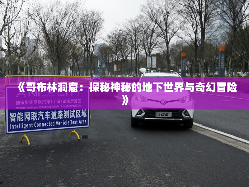 《哥布林洞窟：探秘神秘的地下世界与奇幻冒险》