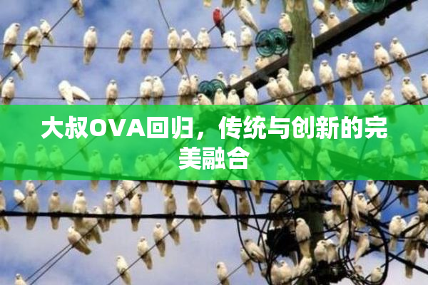 大叔OVA回归，传统与创新的完美融合