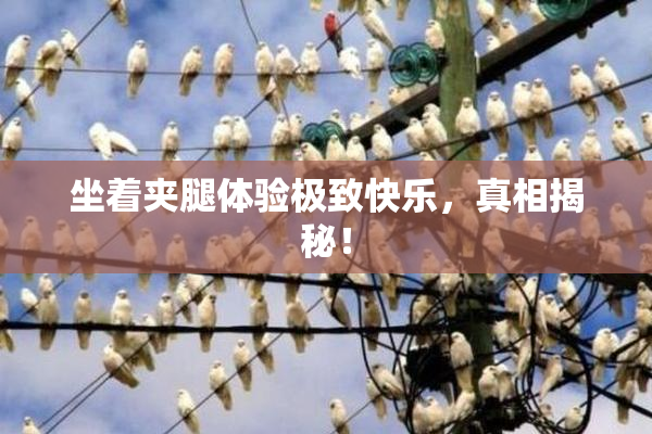 坐着夹腿体验极致快乐，真相揭秘！