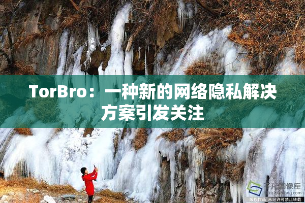 TorBro：一种新的网络隐私解决方案引发关注