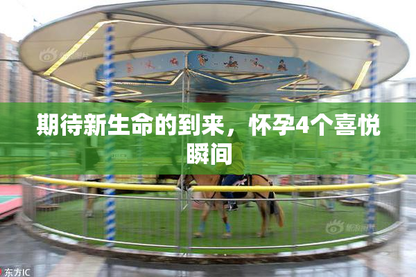期待新生命的到来，怀孕4个喜悦瞬间