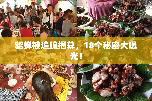 貂蝉被追踪揭幕，18个秘密大曝光！