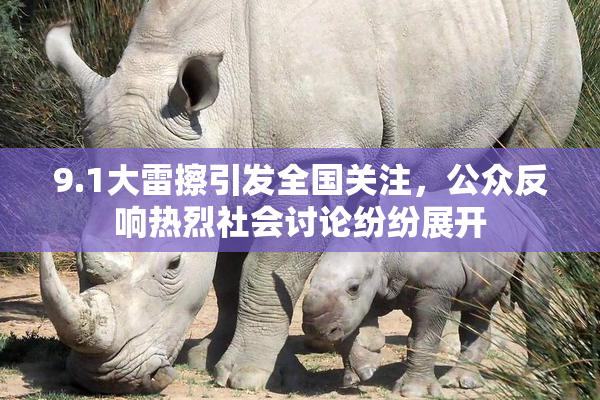 9.1大雷擦引发全国关注，公众反响热烈社会讨论纷纷展开
