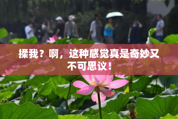 揉我？啊，这种感觉真是奇妙又不可思议！