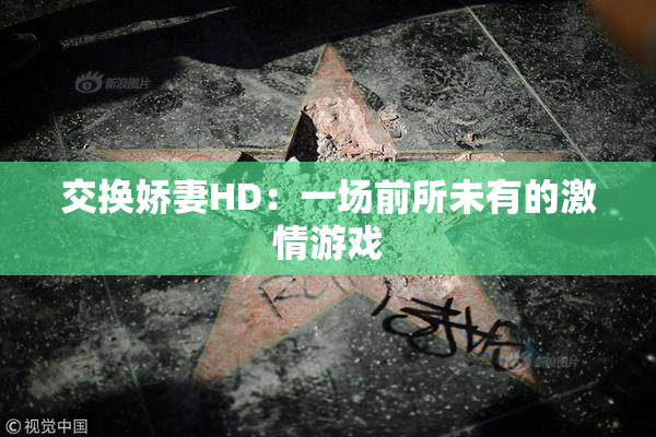 交换娇妻HD：一场前所未有的激情游戏