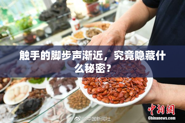 触手的脚步声渐近，究竟隐藏什么秘密？