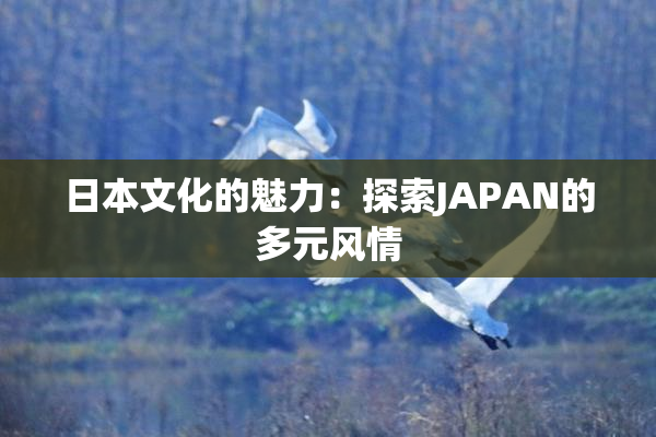 日本文化的魅力：探索JAPAN的多元风情