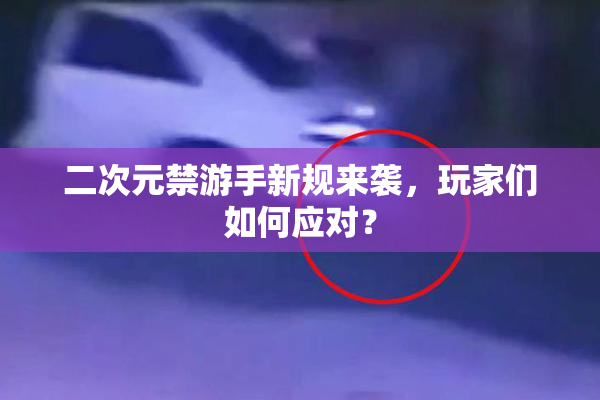 二次元禁游手新规来袭，玩家们如何应对？