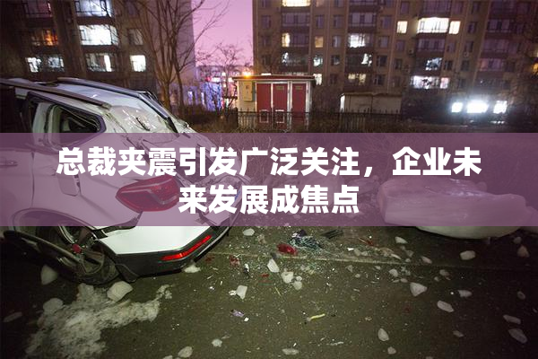 总裁夹震引发广泛关注，企业未来发展成焦点