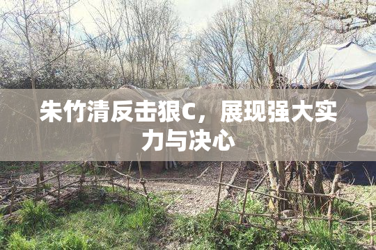 朱竹清反击狠C，展现强大实力与决心
