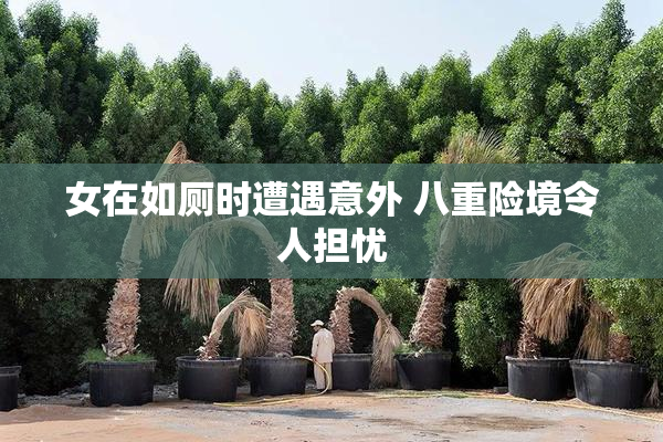 女在如厕时遭遇意外 八重险境令人担忧
