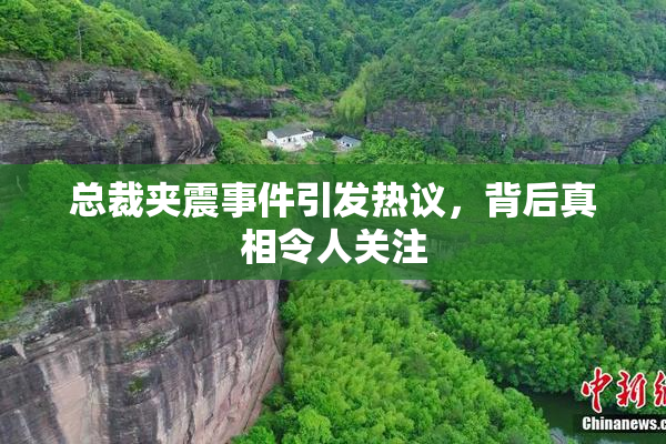 总裁夹震事件引发热议，背后真相令人关注