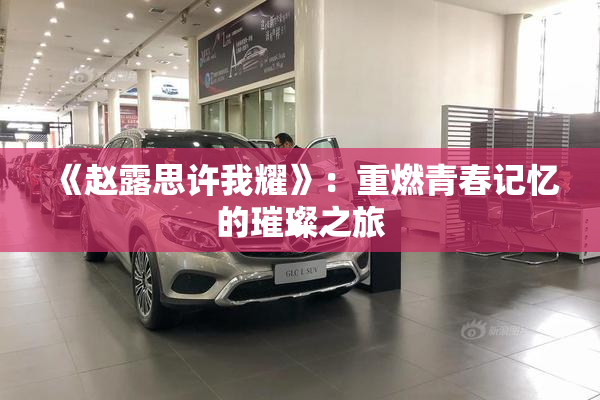 《赵露思许我耀》：重燃青春记忆的璀璨之旅