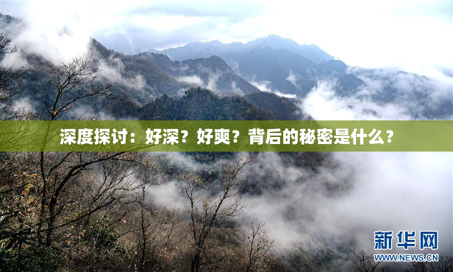 深度探讨：好深？好爽？背后的秘密是什么？