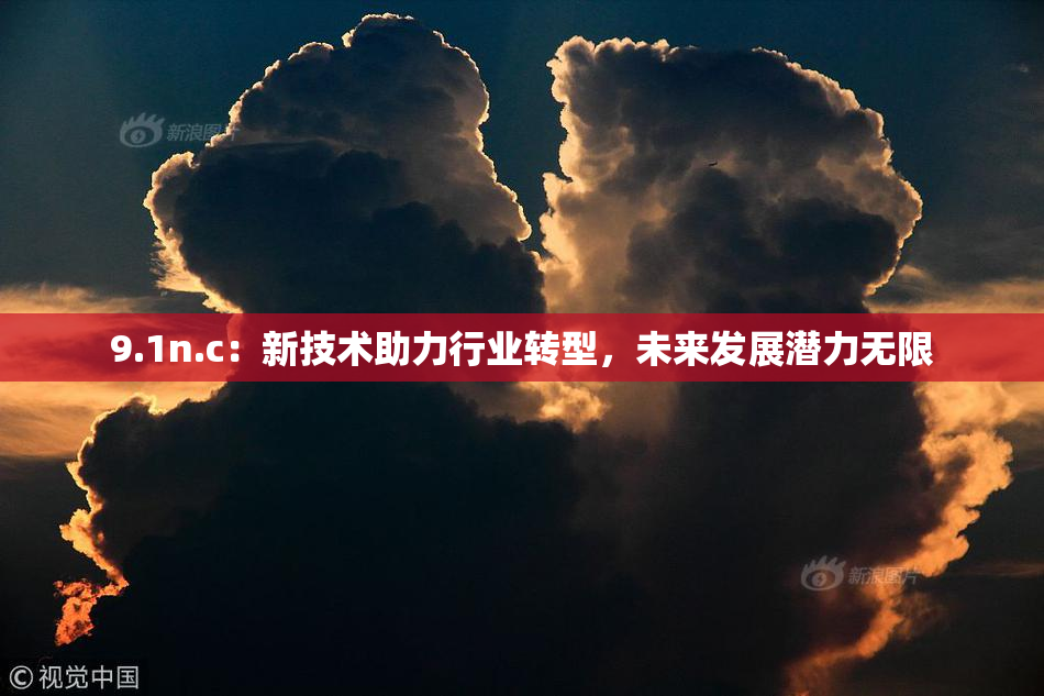 9.1n.c：新技术助力行业转型，未来发展潜力无限
