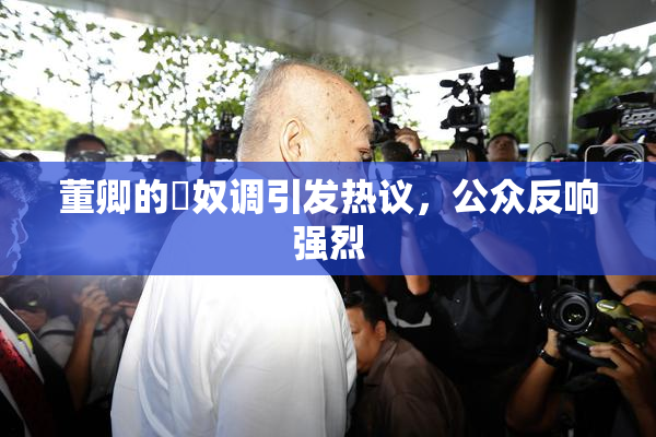 董卿的婬奴调引发热议，公众反响强烈