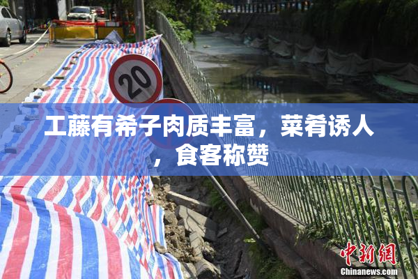 工藤有希子肉质丰富，菜肴诱人，食客称赞