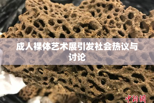 成人裸体艺术展引发社会热议与讨论