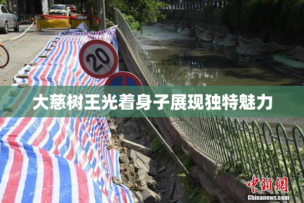 大慈树王光着身子展现独特魅力