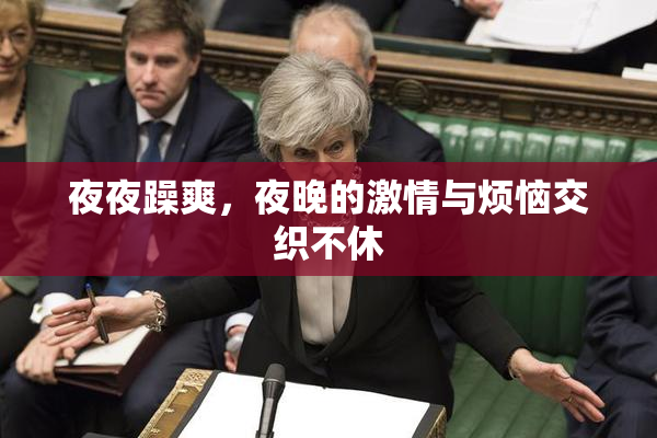 夜夜躁爽，夜晚的激情与烦恼交织不休