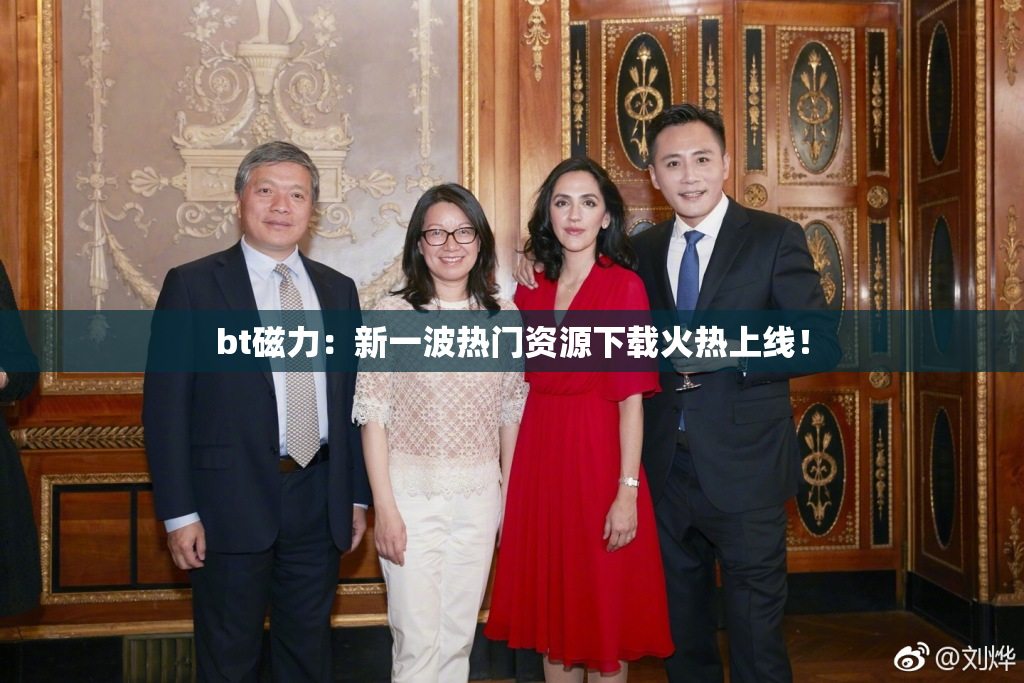 bt磁力：新一波热门资源下载火热上线！