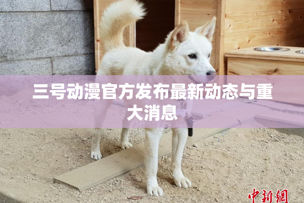 三号动漫官方发布最新动态与重大消息