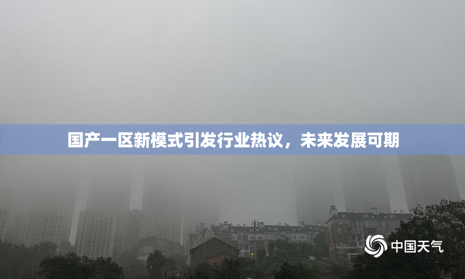 国产一区新模式引发行业热议，未来发展可期
