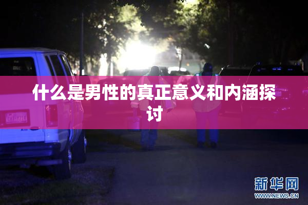 什么是男性的真正意义和内涵探讨