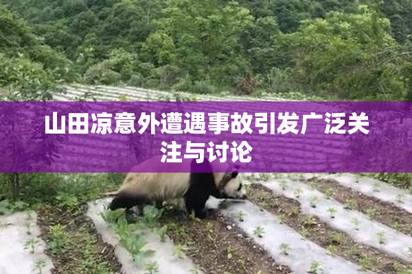 山田凉意外遭遇事故引发广泛关注与讨论