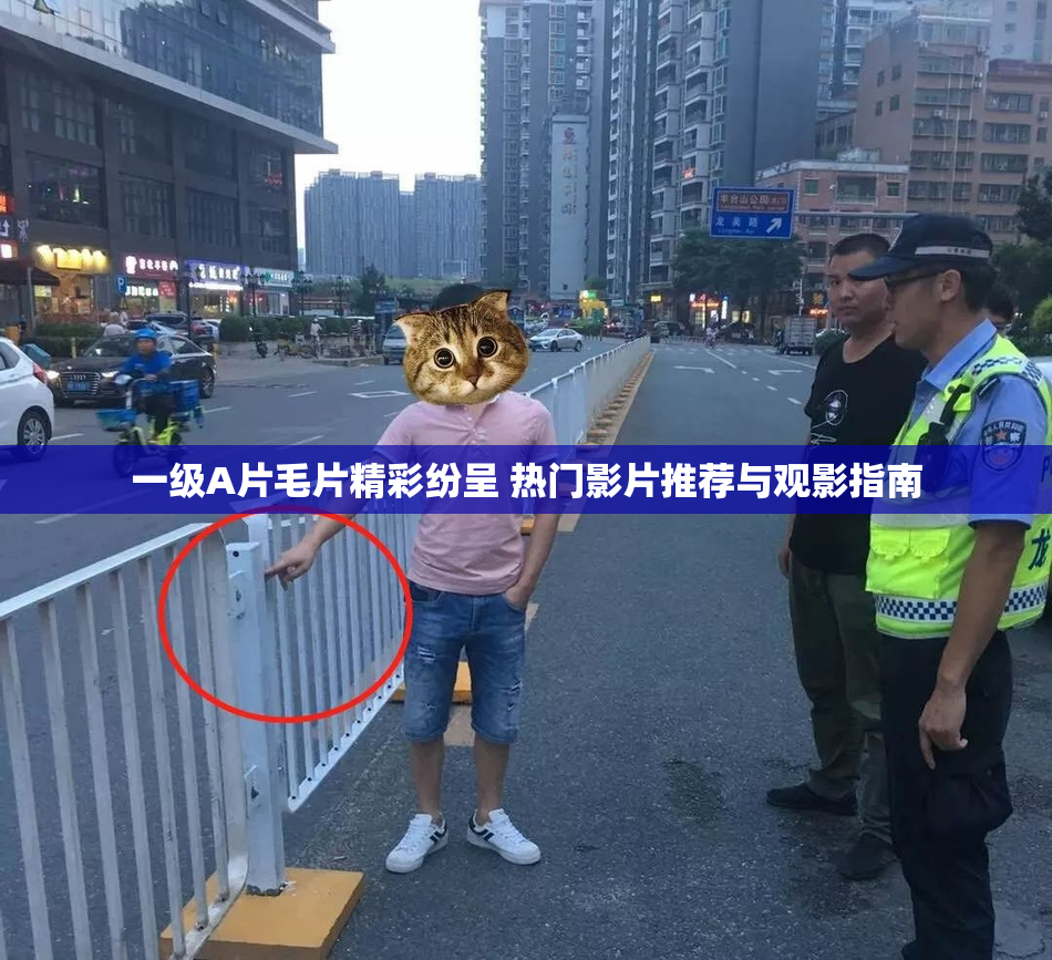 一级A片毛片精彩纷呈 热门影片推荐与观影指南