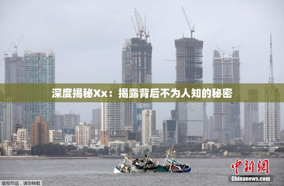 深度揭秘Xx：揭露背后不为人知的秘密