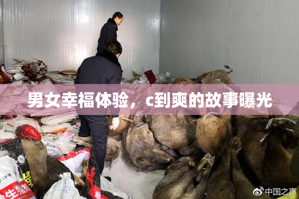 男女幸福体验，c到爽的故事曝光