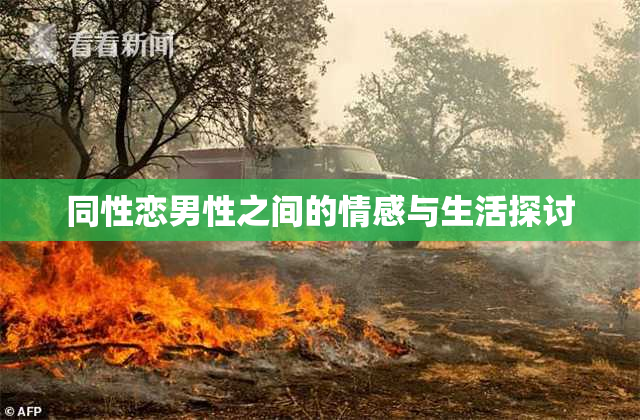 同性恋男性之间的情感与生活探讨