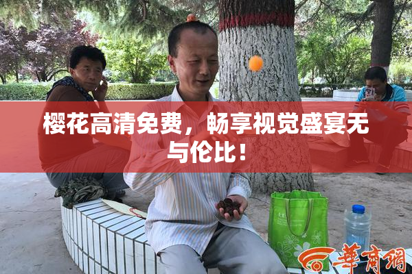 樱花高清免费，畅享视觉盛宴无与伦比！