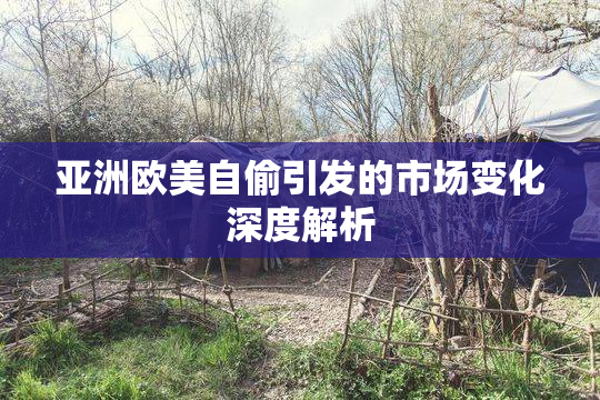 亚洲欧美自偷引发的市场变化深度解析