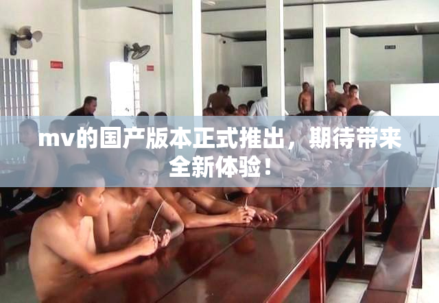 mv的国产版本正式推出，期待带来全新体验！