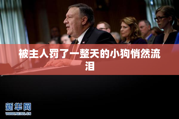 被主人罚了一整天的小狗悄然流泪