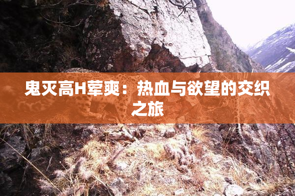 鬼灭高H荤爽：热血与欲望的交织之旅